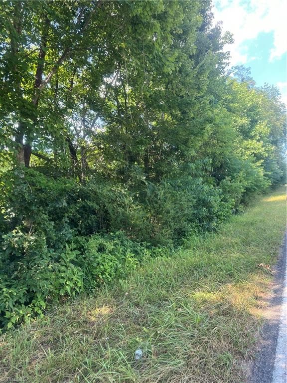 Unimproved Land at 00 Pinnacle Hotel Road, Pinnacle NC 27043, photo 6 of 7