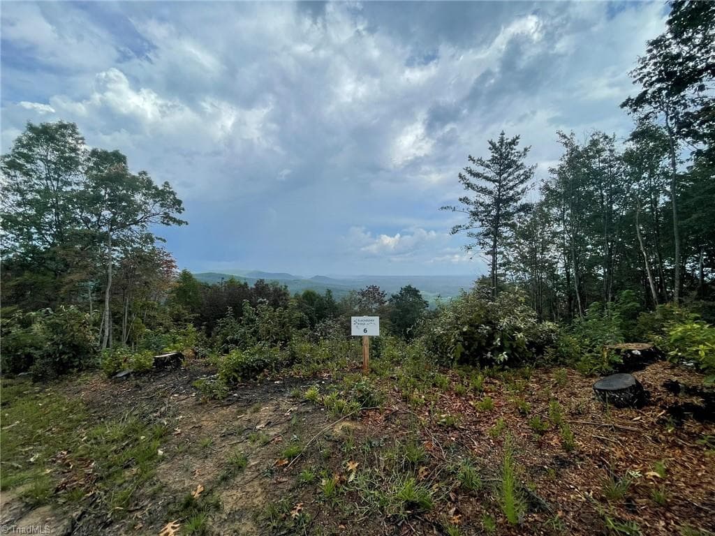 Single Family Residence at Tract 6 Blackberry Ridge Cabin Creek Road, Hays NC 28635, Hays, photo 3 of 22