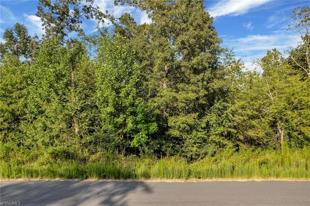 Single Family Residence at Lot 17 Regal Oaks Drive, Wilkesboro NC 28697, photo 2 of 4