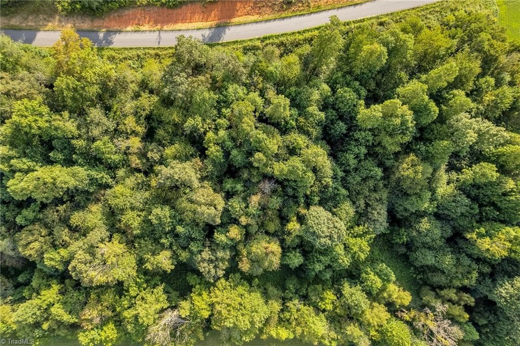 Lot 19 Regal Oaks Drive, Wilkesboro NC 28697