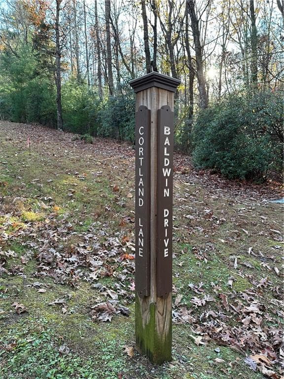 Single Family Residence at TBD Courtland Lane, Lowgap NC 27024, Lowgap, photo 25 of 62