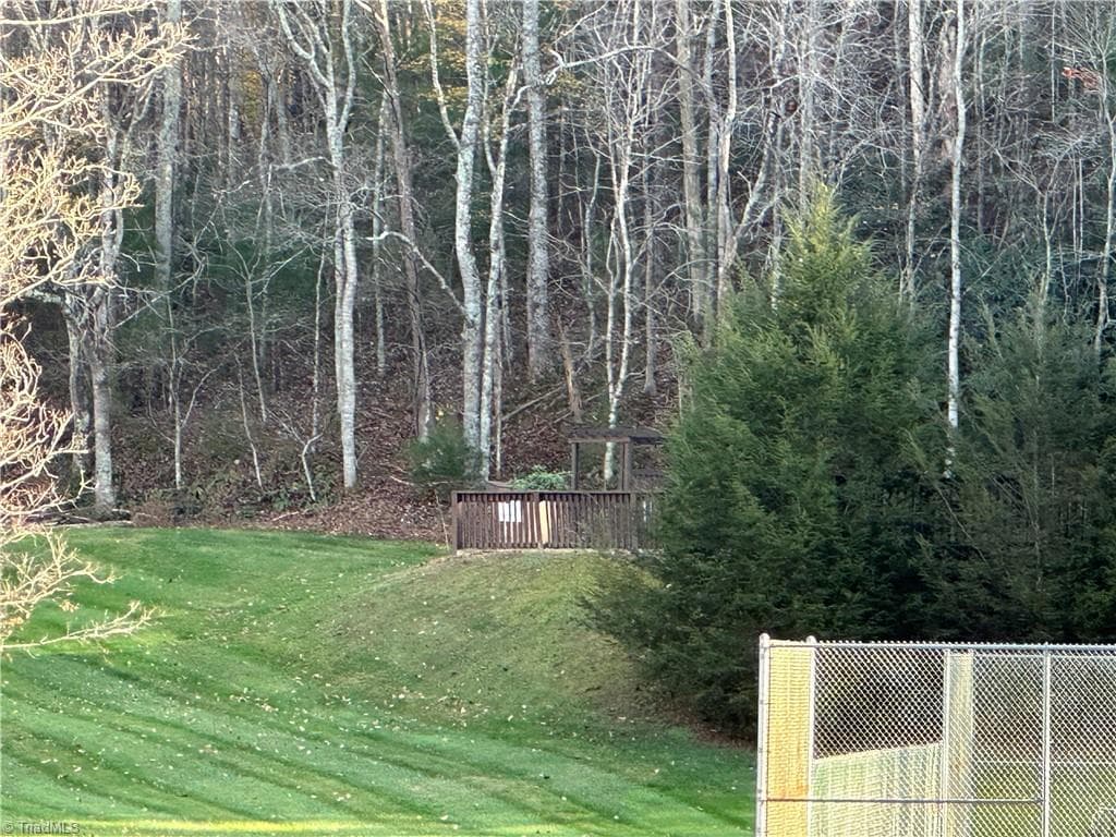 Single Family Residence at TBD Courtland Lane, Lowgap NC 27024, Lowgap, photo 51 of 62