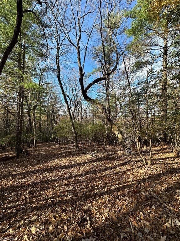 Single Family Residence at TBD Courtland Lane, Lowgap NC 27024, Lowgap, photo 43 of 62