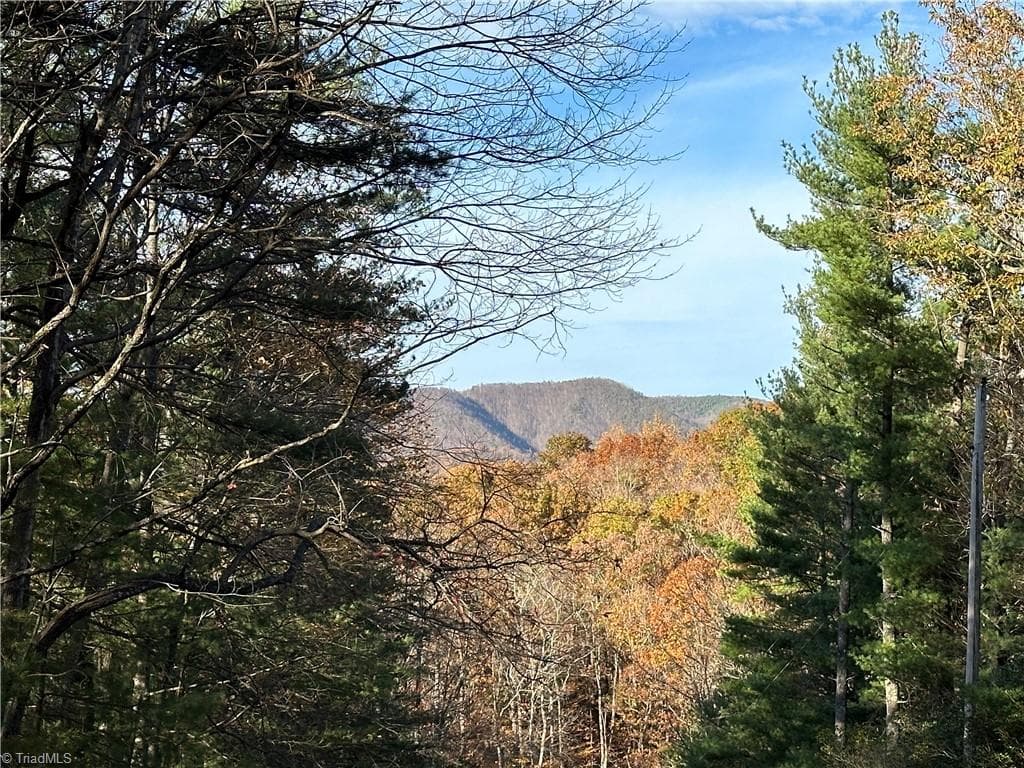 TBD Courtland Lane, Lowgap NC 27024