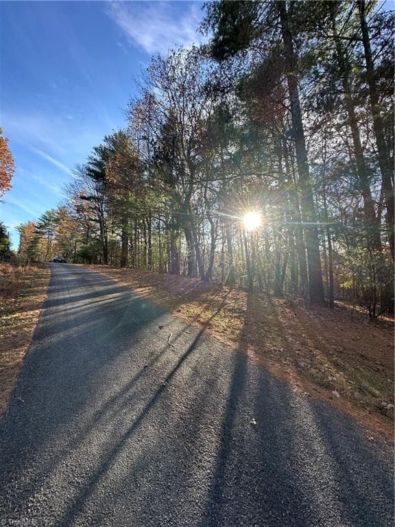 Single Family Residence at TBD Courtland Lane, Lowgap NC 27024, Lowgap, photo 39 of 62