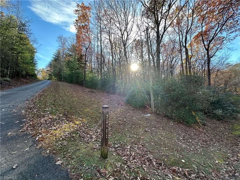 Single Family Residence at TBD Courtland Lane, Lowgap NC 27024, Lowgap, photo 27 of 62
