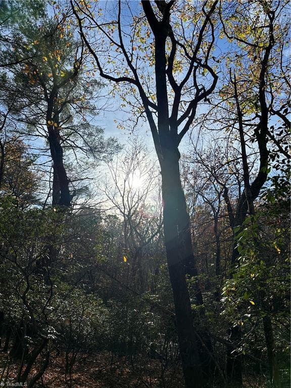 Single Family Residence at TBD Courtland Lane, Lowgap NC 27024, Lowgap, photo 21 of 62