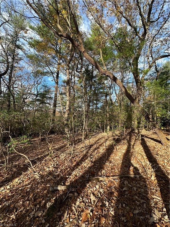 Single Family Residence at TBD Courtland Lane, Lowgap NC 27024, Lowgap, photo 15 of 62