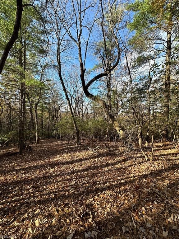 Single Family Residence at TBD Courtland Lane, Lowgap NC 27024, Lowgap, photo 41 of 62