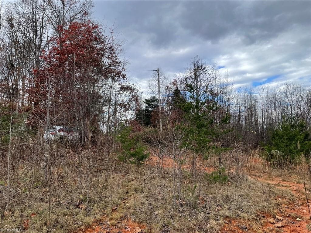Single Family Residence at Lot 12 Pulco Lane, Ronda NC 28670, photo 5 of 9
