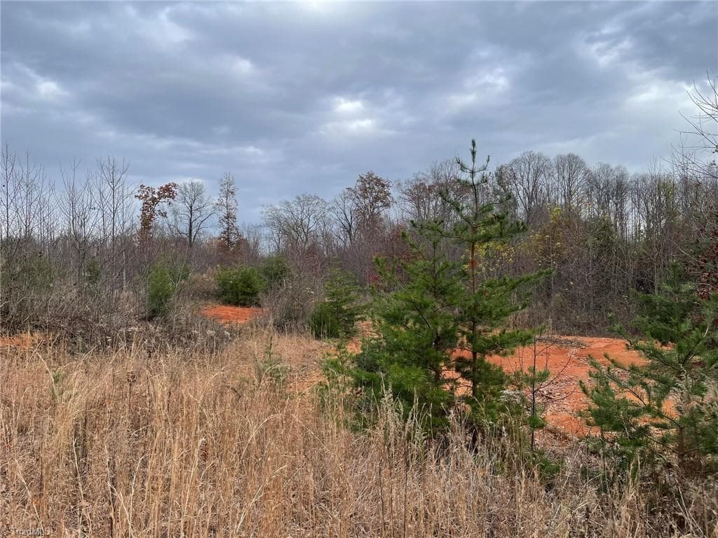 Single Family Residence at Lot 12 Pulco Lane, Ronda NC 28670, photo 4 of 9