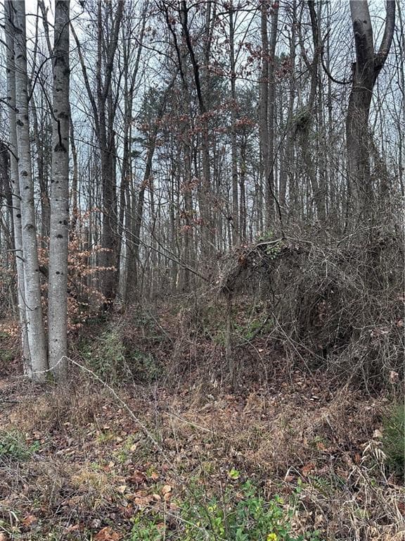 Unimproved Land at 1122 S State Street, Yadkinville NC 27055, Yadkinville, photo 3 of 5