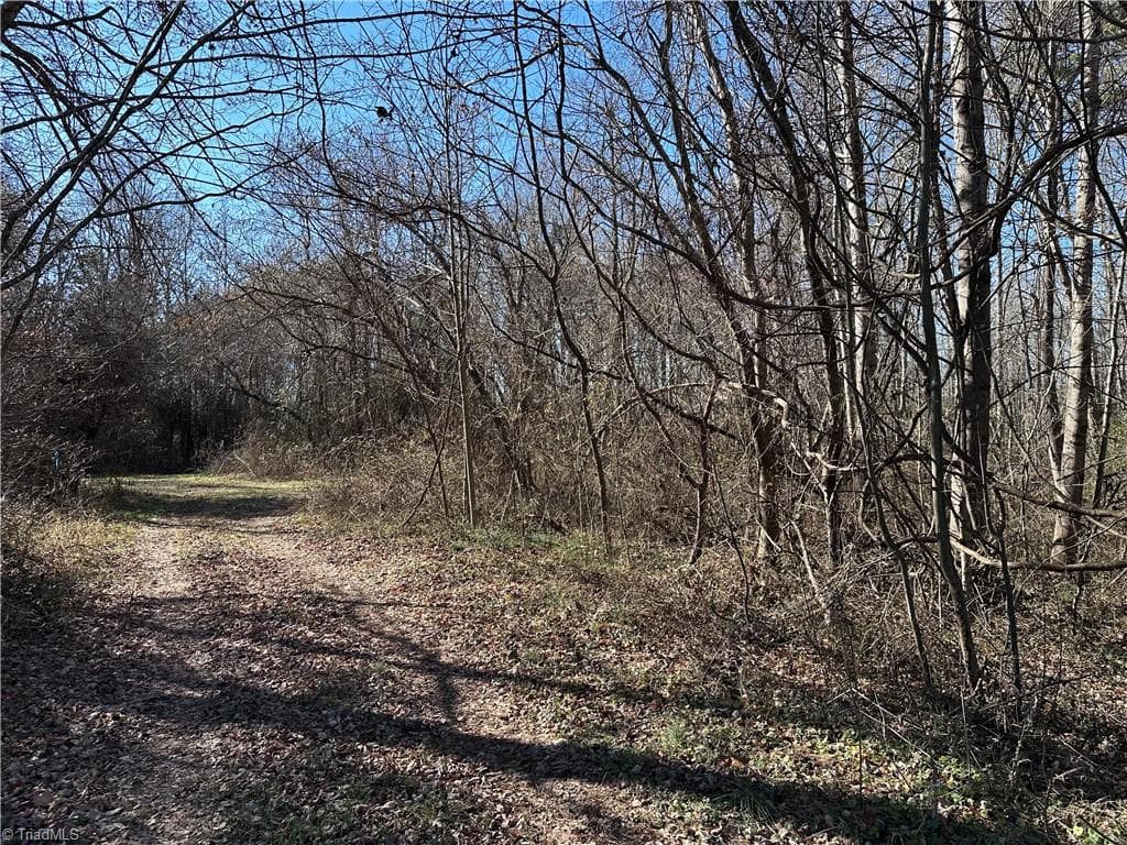 Unimproved Land at 1080 S State Street, Yadkinville NC 27055, photo 3 of 3