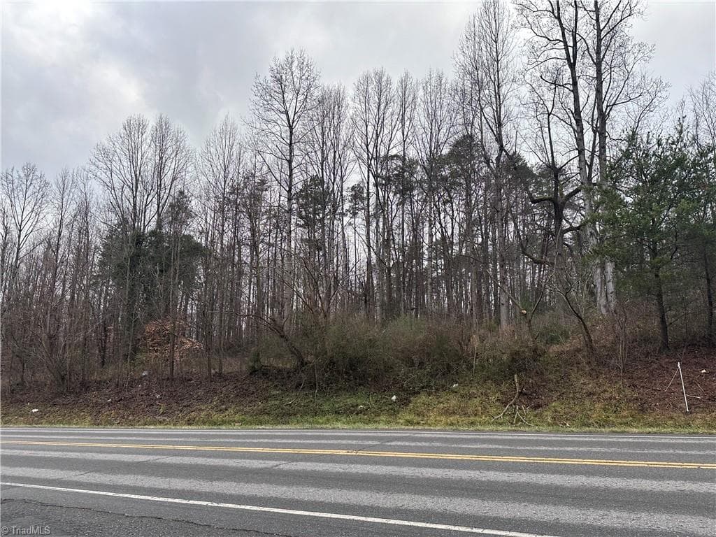 Unimproved Land at 000 S State Street, Yadkinville NC 27055, photo 2 of 7