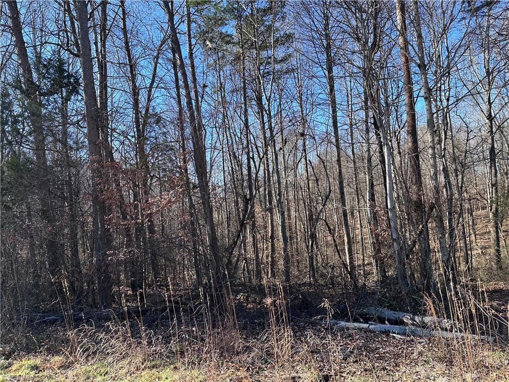 Unimproved Land at 000 S State Street, Yadkinville NC 27055, photo 5 of 7