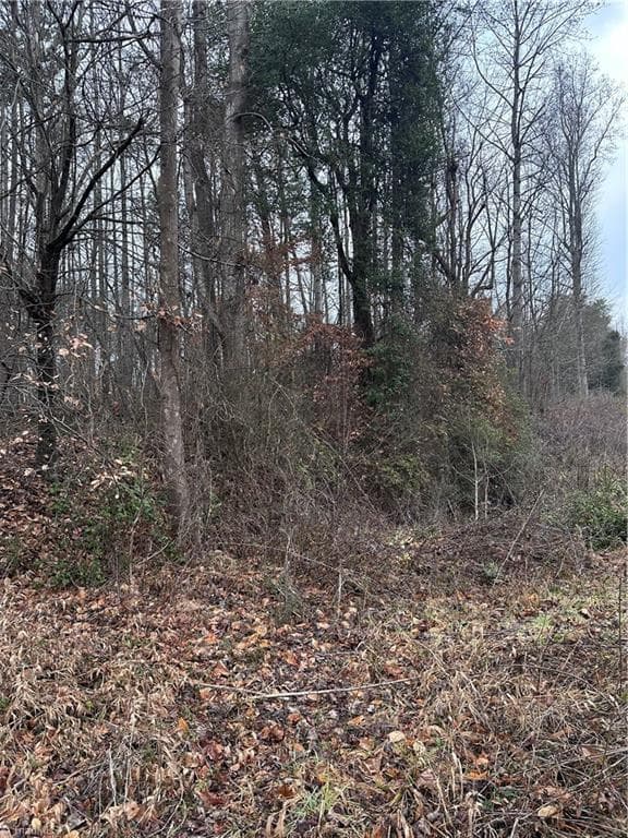 Unimproved Land at 000 S State Street, Yadkinville NC 27055, photo 4 of 7