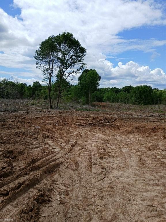 Unimproved Land at Lot 2A Manning Powell Old Macon Highway, Macon NC 27551, Macon, photo 2 of 3