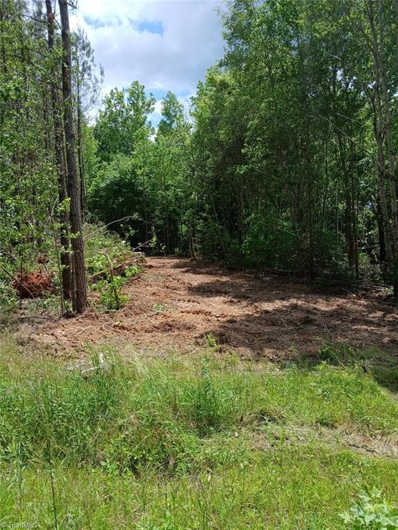 Unimproved Land at Lot 2A Manning Powell Old Macon Highway, Macon NC 27551, Macon, photo 3 of 3
