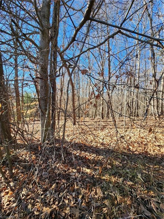 Unimproved Land at 501 Factory Street, Ronda NC 28670, photo 3 of 4