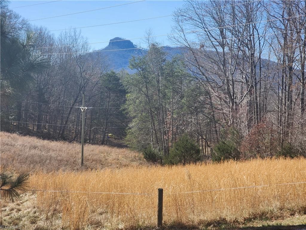 Unimproved Land at 00 Golf Course Road, Pilot Mountain NC 27041, photo 2 of 18