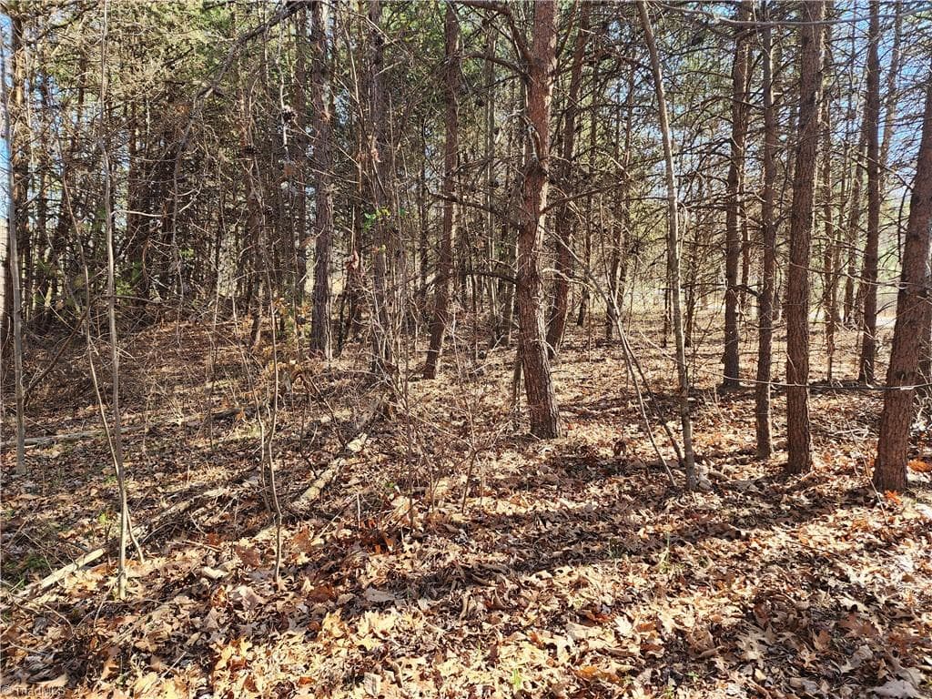 Unimproved Land at 00 Golf Course Road, Pilot Mountain NC 27041, photo 5 of 18