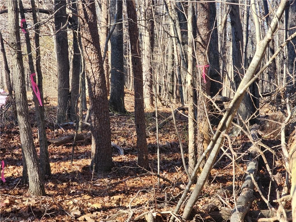 Unimproved Land at 00 Golf Course Road, Pilot Mountain NC 27041, photo 18 of 18