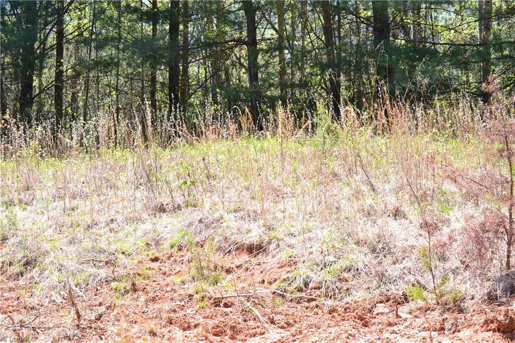 Unimproved Land at 00 Swaringen Road, Traphill NC 28685, photo 26 of 26