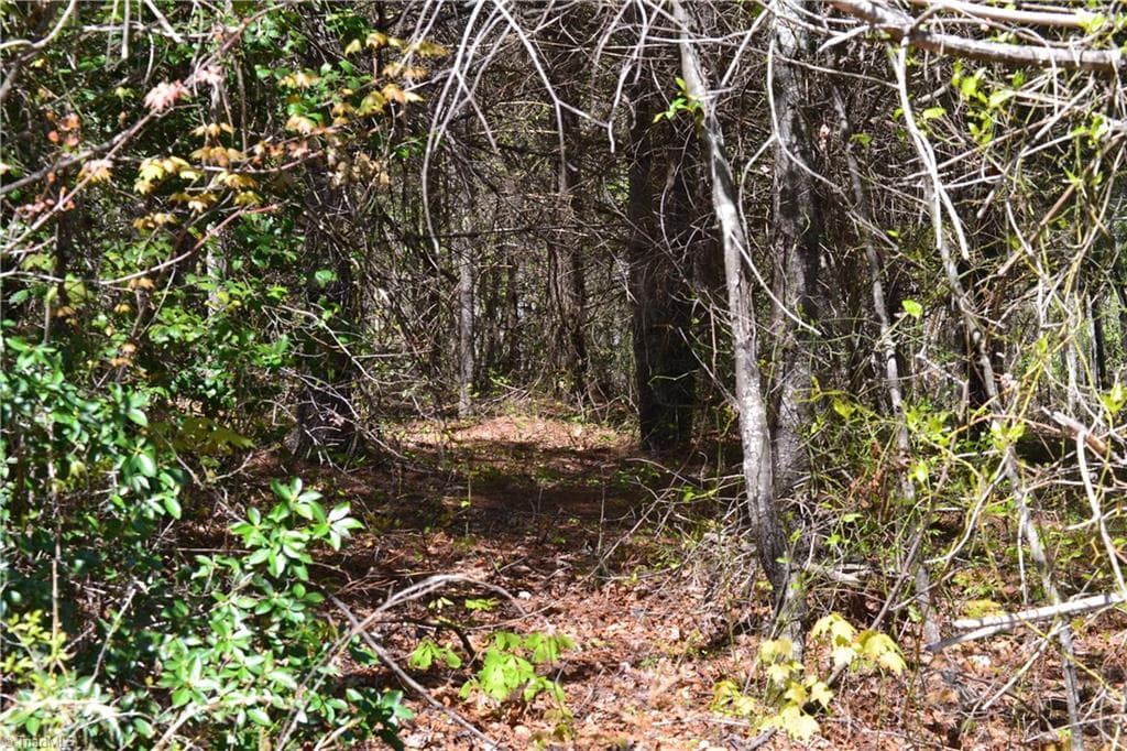 Unimproved Land at 00 Swaringen Road, Traphill NC 28685, photo 22 of 26