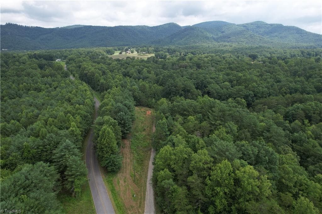 Unimproved Land at 00 Swaringen Road, Traphill NC 28685, photo 9 of 26