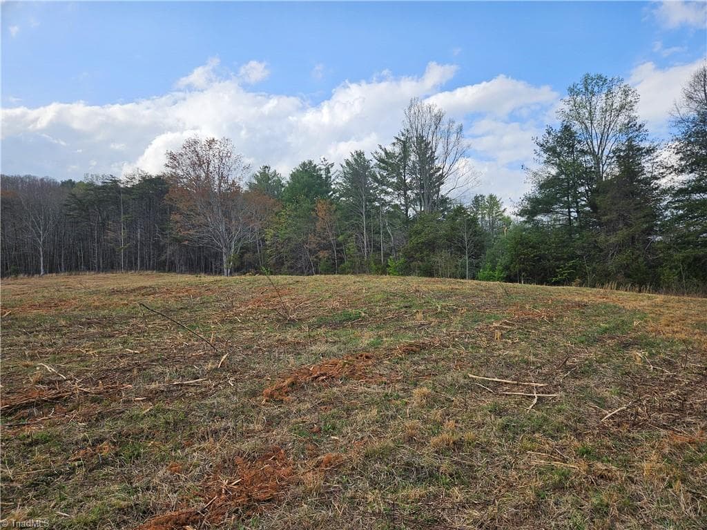 Unimproved Land at 0 Blue Hollow Road # 29, Mount Airy NC 27030, photo 5 of 10