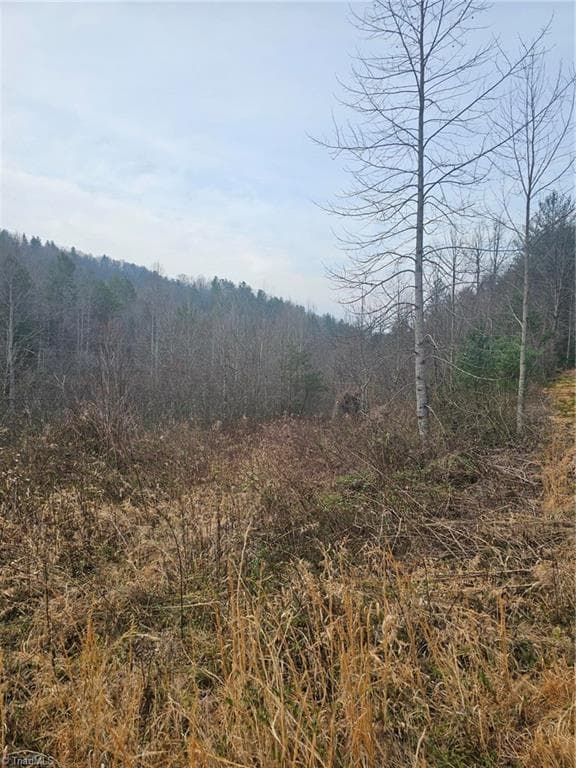 Unimproved Land at 00 Elk Creek Darby Road, Ferguson NC 28624, photo 6 of 24
