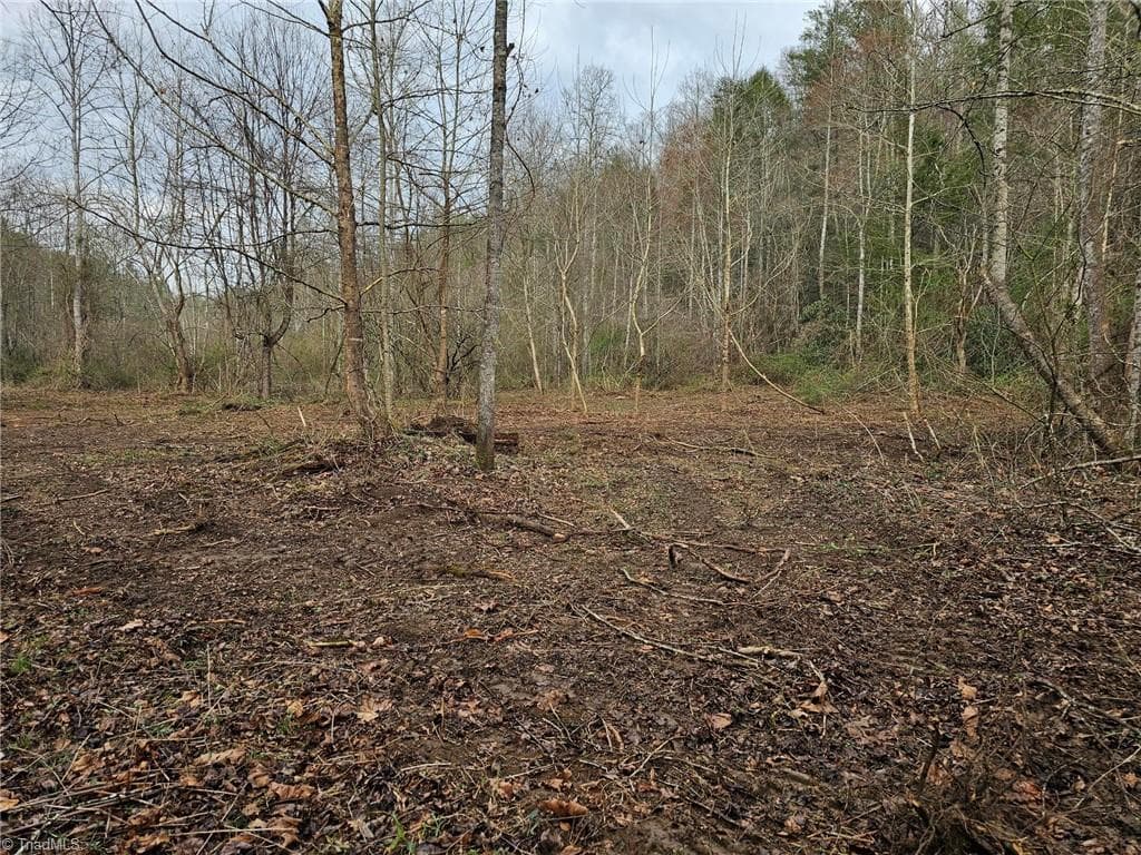 Unimproved Land at 00 Elk Creek Darby Road, Ferguson NC 28624, photo 10 of 24