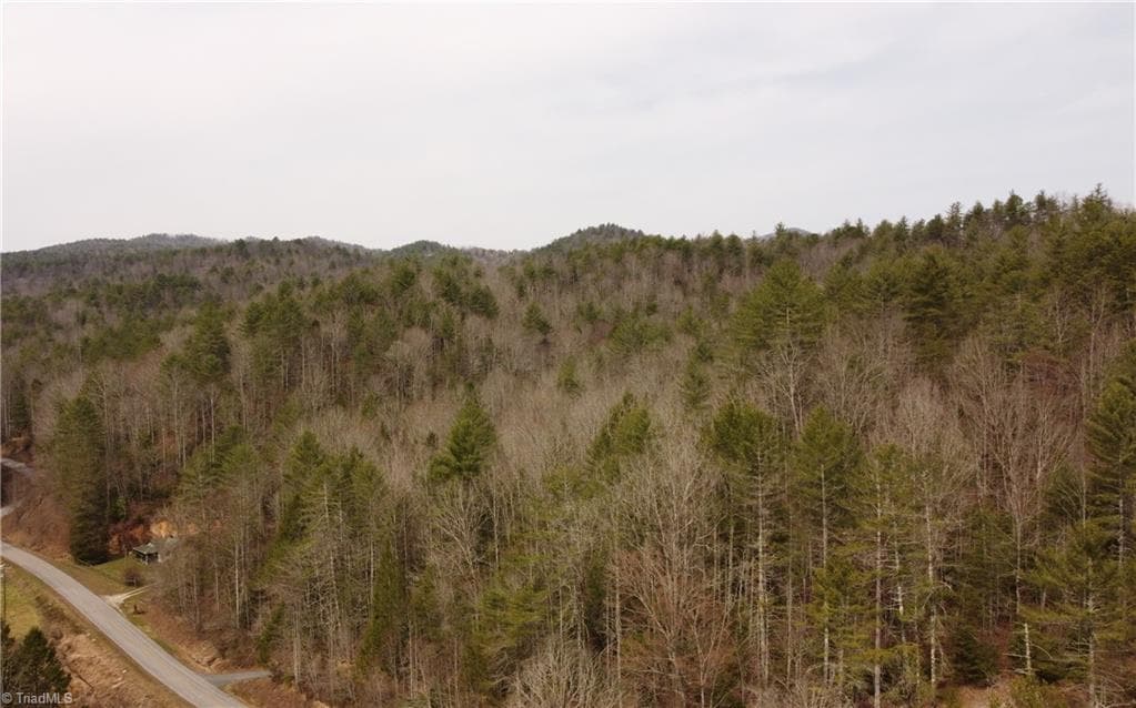 Unimproved Land at 00 Elk Creek Darby Road, Ferguson NC 28624, photo 18 of 24