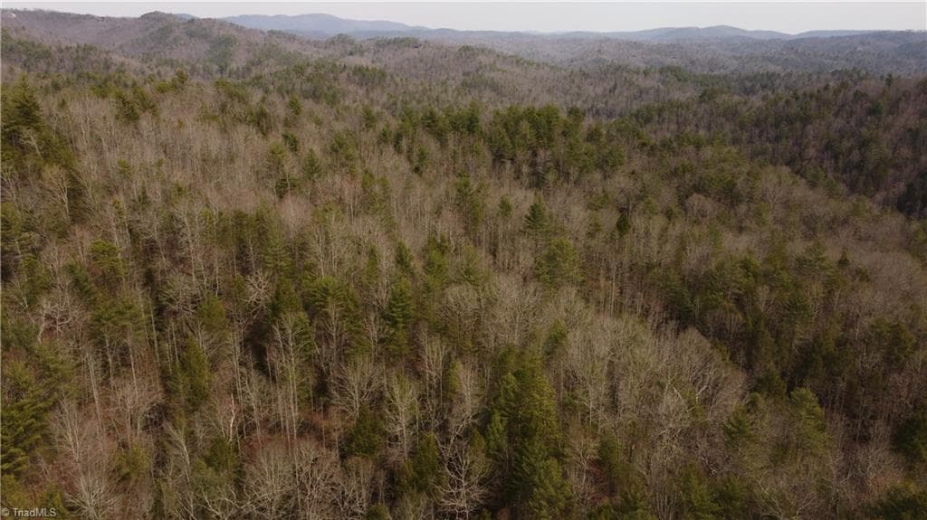 Unimproved Land at 00 Elk Creek Darby Road, Ferguson NC 28624, photo 19 of 24