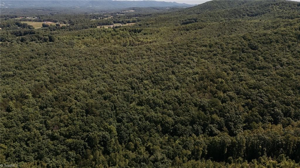 Single Family Residence at xx 44.93 Acres Stardust Trail, Mount Airy NC 27030, photo 13 of 37