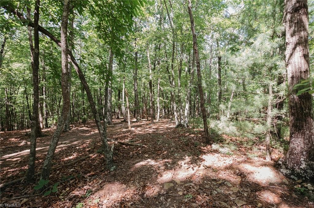 Single Family Residence at xx 44.93 Acres Stardust Trail, Mount Airy NC 27030, photo 12 of 37