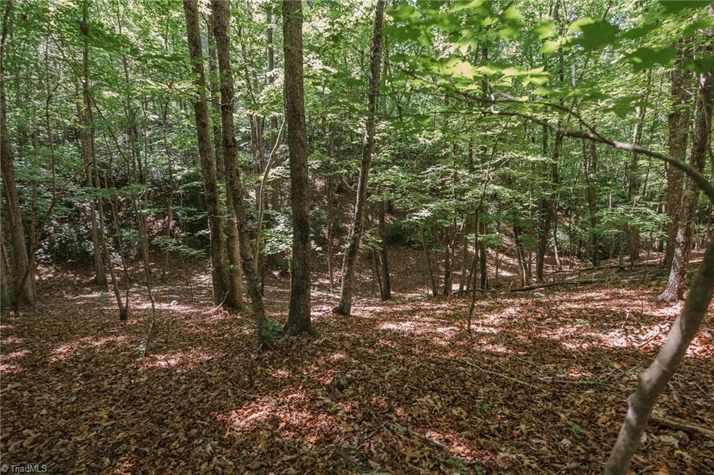 Single Family Residence at xx 44.93 Acres Stardust Trail, Mount Airy NC 27030, photo 32 of 37