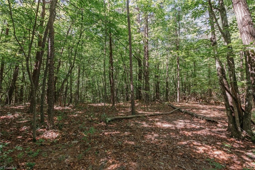 Single Family Residence at xx 44.93 Acres Stardust Trail, Mount Airy NC 27030, photo 28 of 37