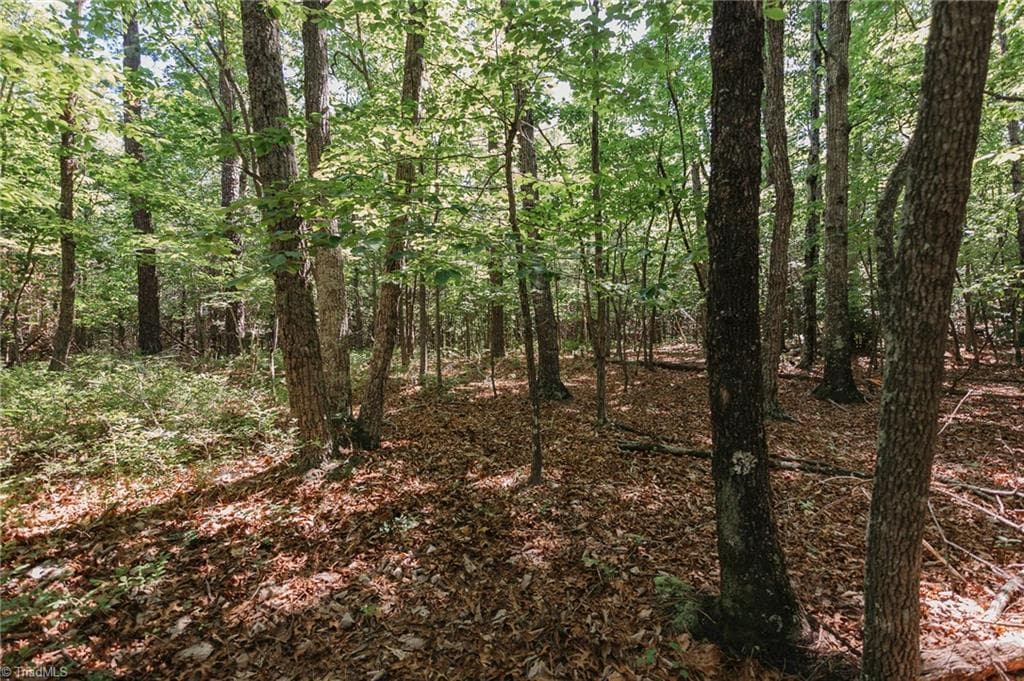 Single Family Residence at xx 44.93 Acres Stardust Trail, Mount Airy NC 27030, photo 20 of 37