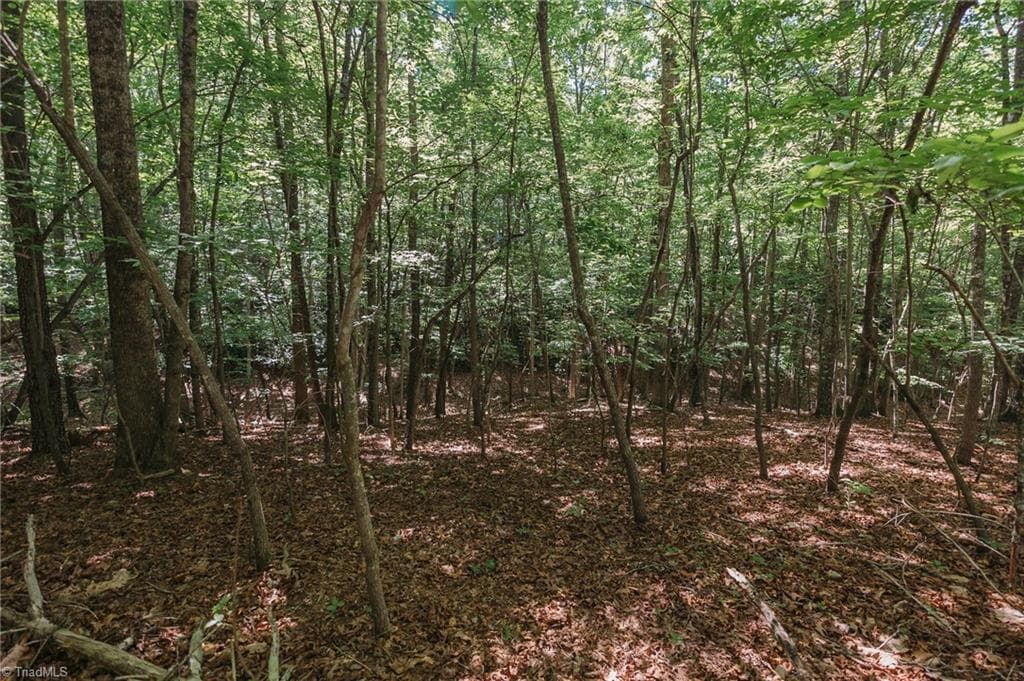 Single Family Residence at xx 44.93 Acres Stardust Trail, Mount Airy NC 27030, photo 30 of 37