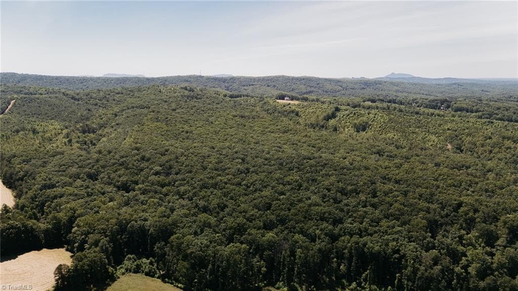 Single Family Residence at xx 44.93 Acres Stardust Trail, Mount Airy NC 27030, photo 34 of 37