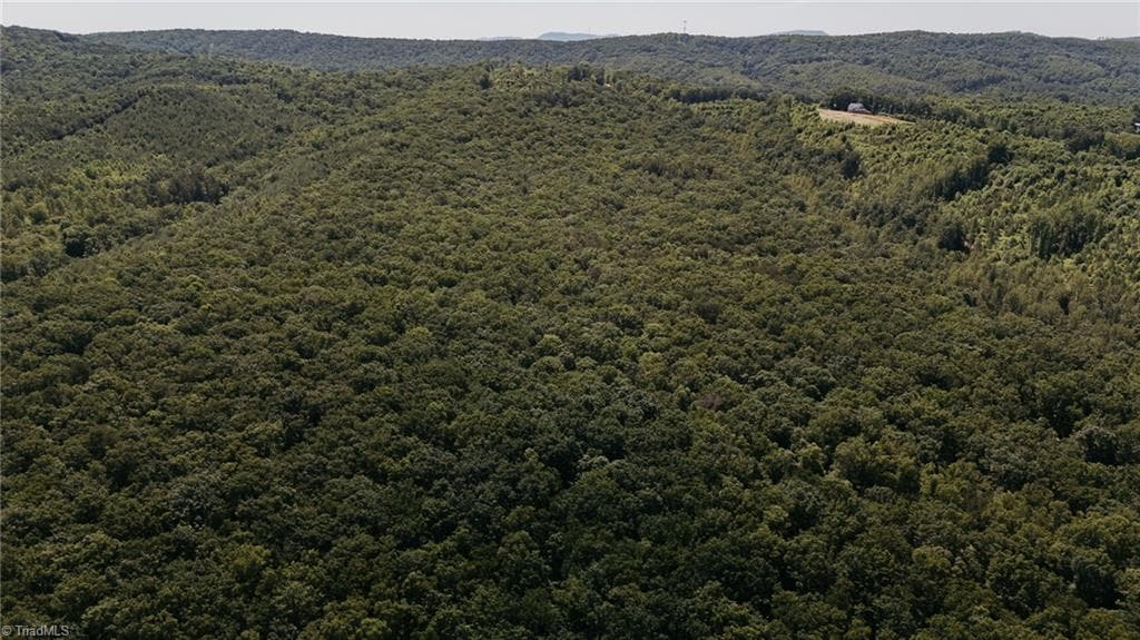 Single Family Residence at xx 44.93 Acres Stardust Trail, Mount Airy NC 27030, photo 15 of 37