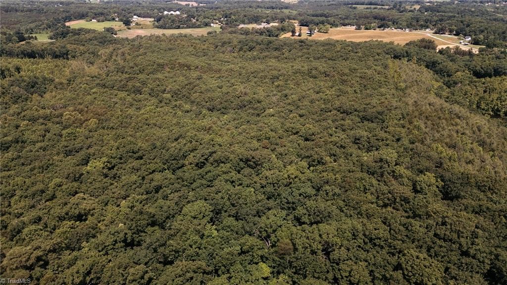 Single Family Residence at xx 44.93 Acres Stardust Trail, Mount Airy NC 27030, photo 4 of 37