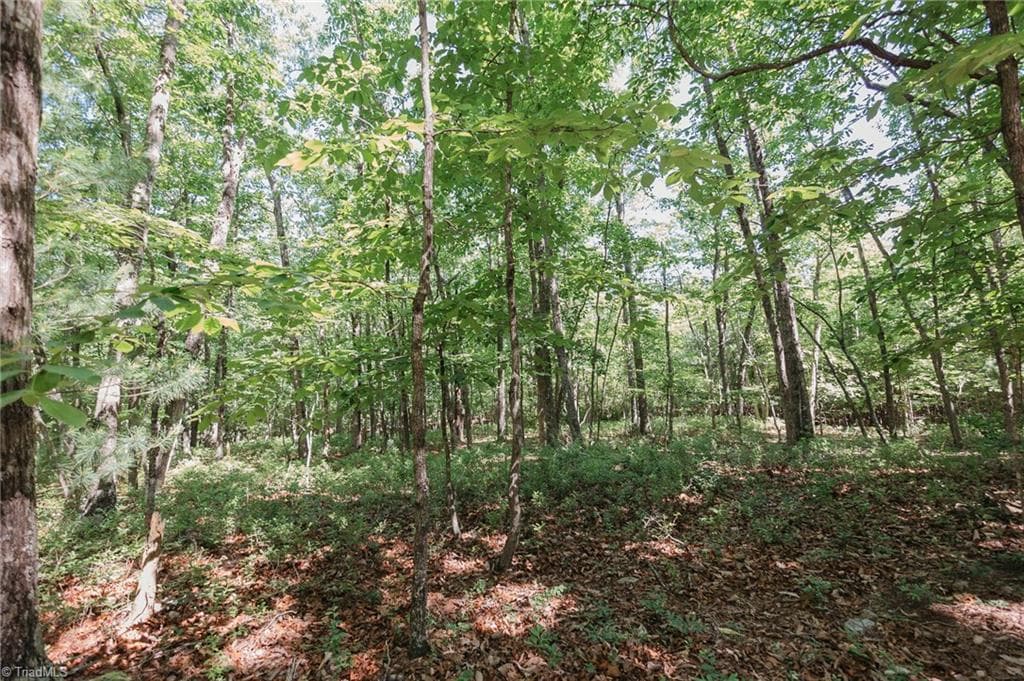 Single Family Residence at xx 44.93 Acres Stardust Trail, Mount Airy NC 27030, photo 21 of 37