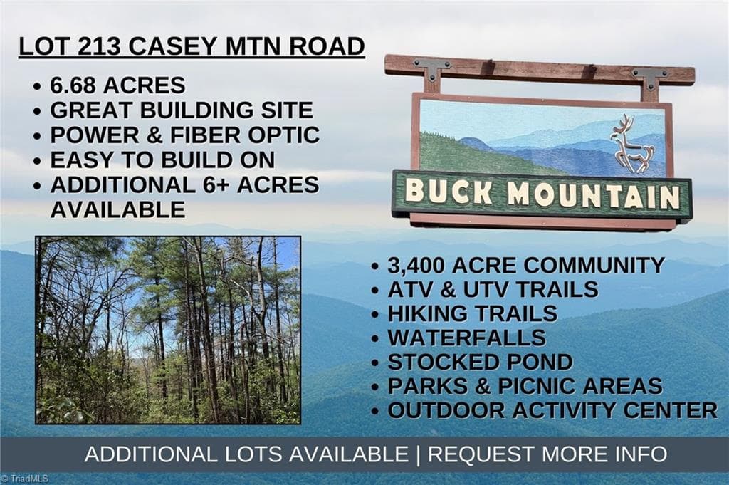 Lot 213 Casey Mountain Road, Purlear NC 28665