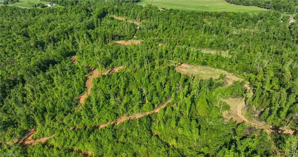 Unimproved Land at 000 Swaringen Road, Traphill NC 28685, photo 27 of 45