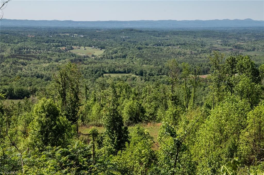 Unimproved Land at 000 Swaringen Road, Traphill NC 28685, photo 13 of 45