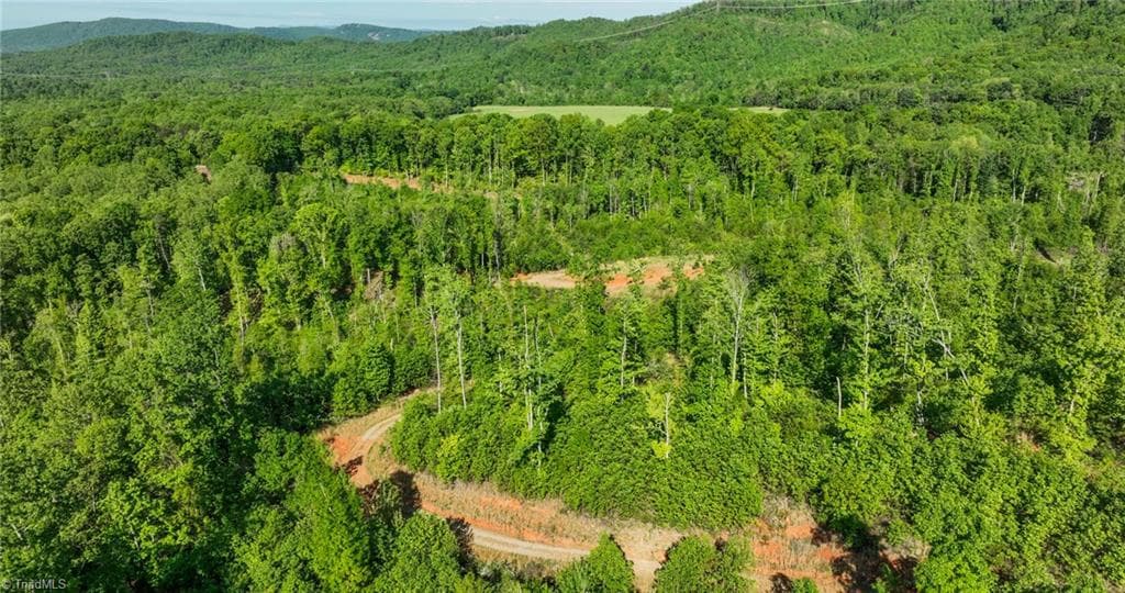 Unimproved Land at 000 Swaringen Road, Traphill NC 28685, photo 26 of 45