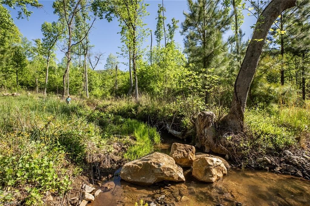 Unimproved Land at 000 Swaringen Road, Traphill NC 28685, photo 5 of 45