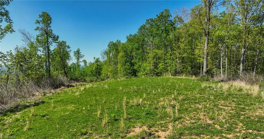 Unimproved Land at 000 Swaringen Road, Traphill NC 28685, photo 34 of 45